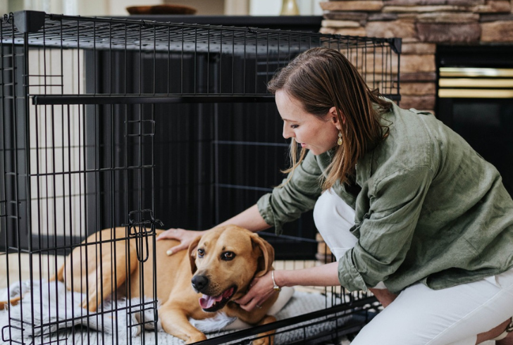 Secure your pet's safety with dog crates for traveling