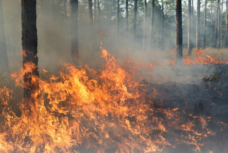 The Park Fire in California, initially small, rapidly grew into one of the largest in state history due to fire clouds