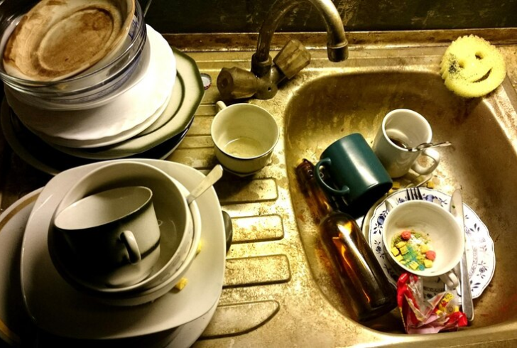 Noisy Sink Disposal Surprise Visitors